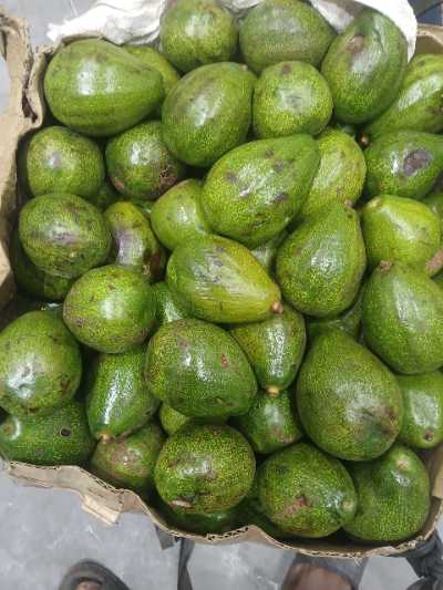 Avocat Beurre Dakar